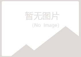 偃师映寒电讯有限公司